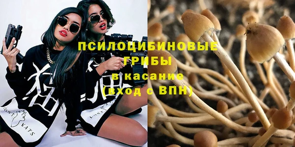 прущая мука Белокуриха