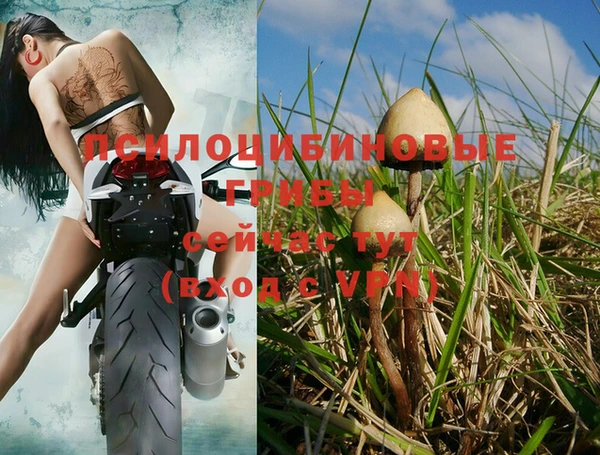 МДМА Беломорск